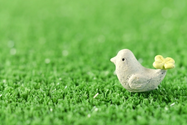 【生態学】島に暮らす鳥は脳が大きい