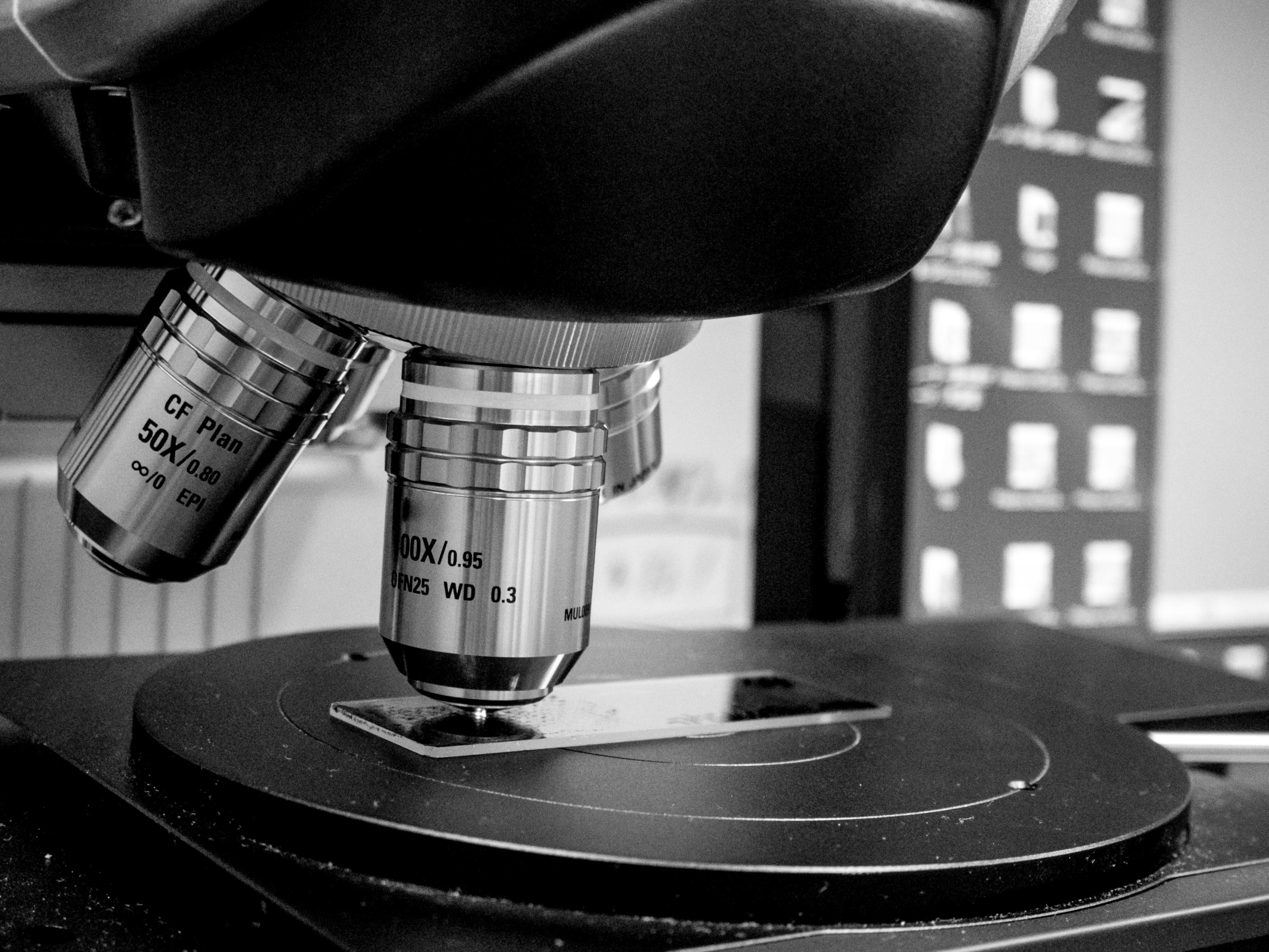 共同開発した多光子励起レーザー走査型顕微鏡専用のTruResolution対物レンズが発売されました